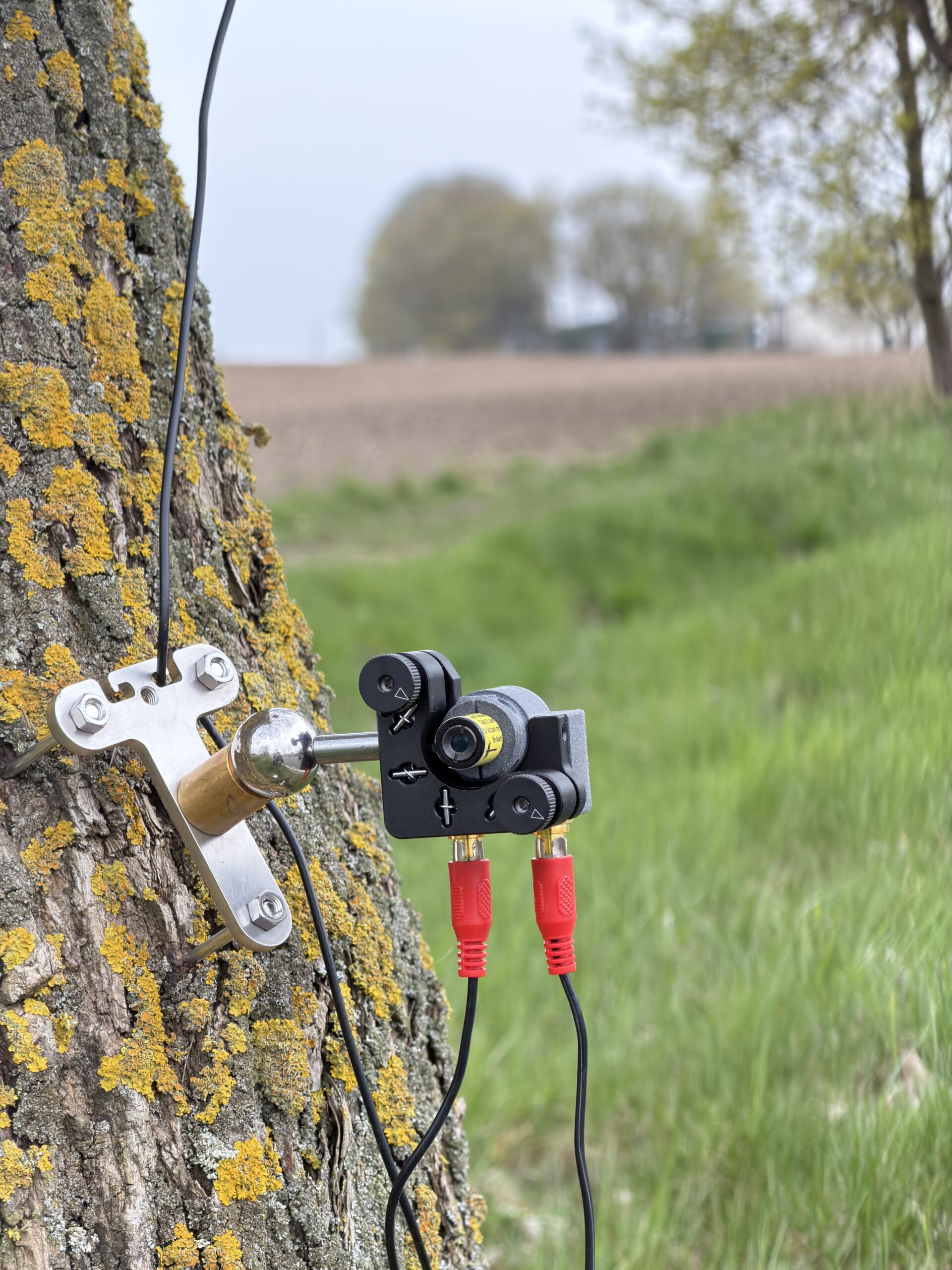 LOFOR laser installed on a tree