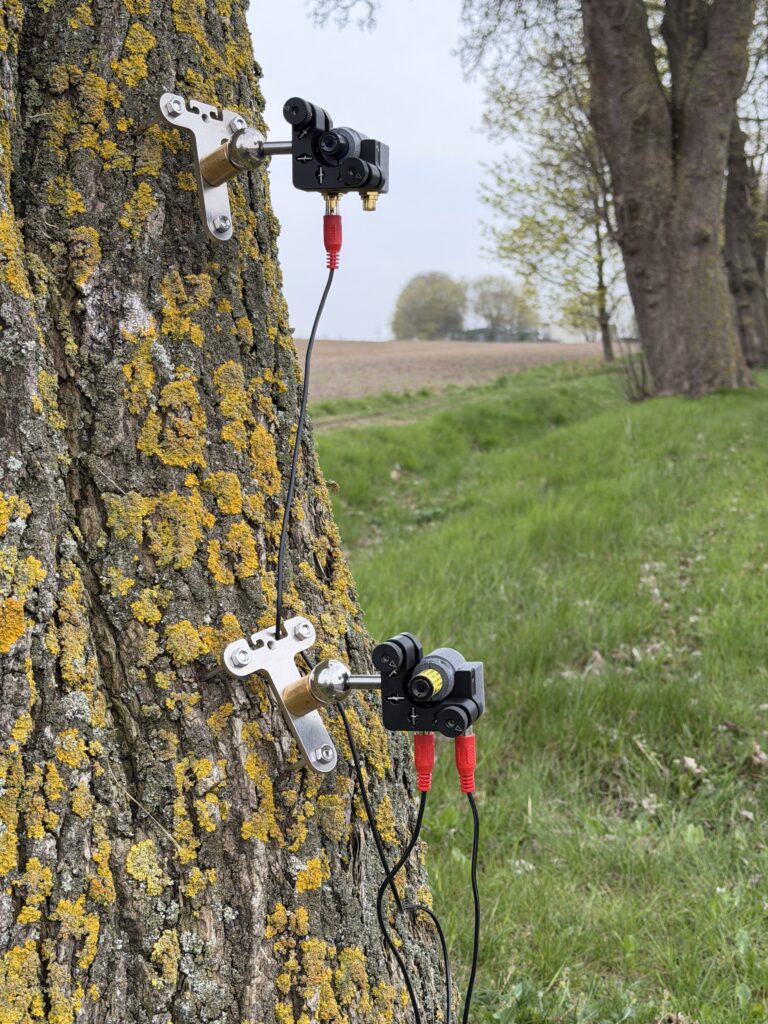 LOFOR lasers installed on a tree