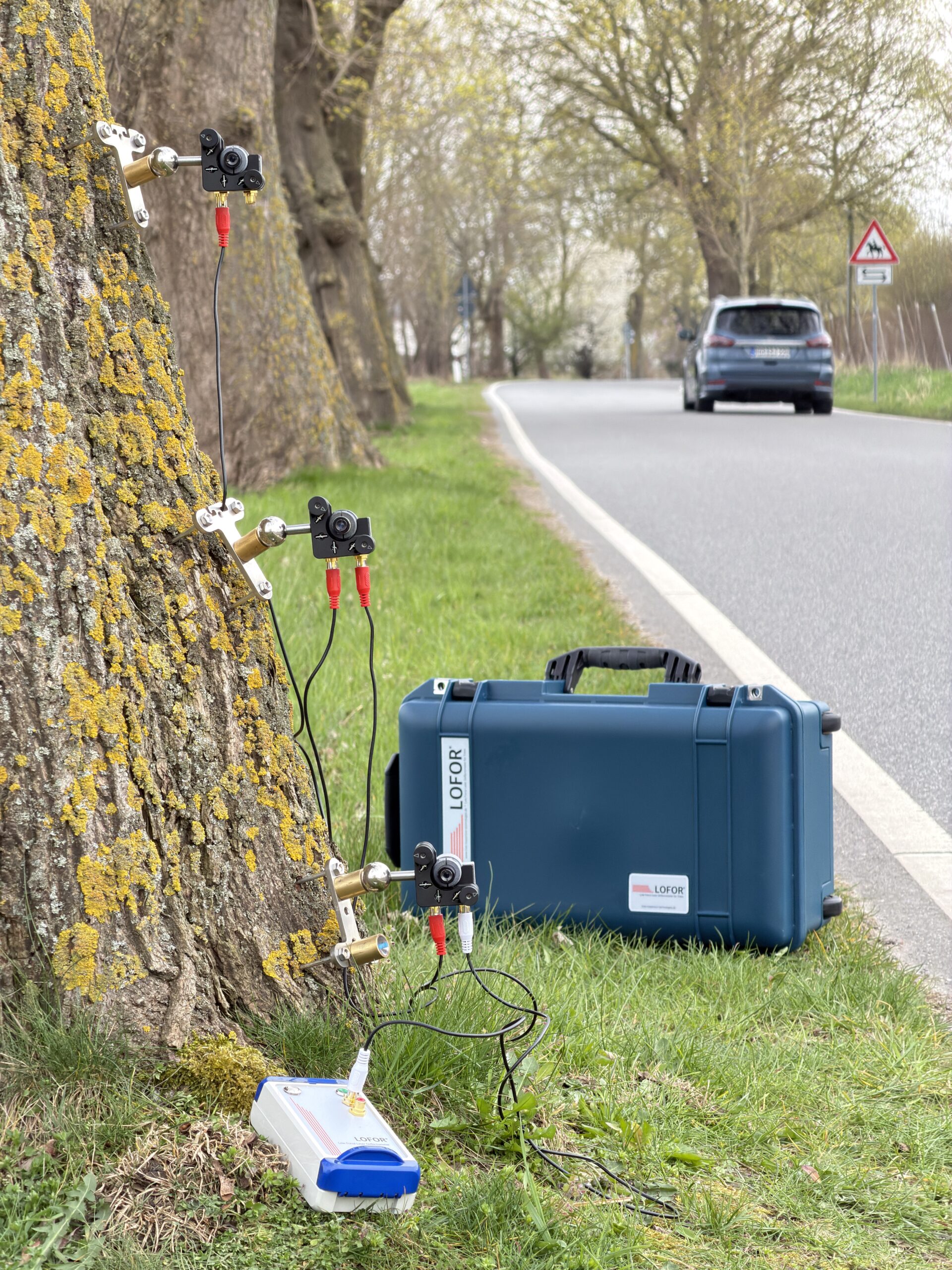 LOFOR Laser installed on a tree on the roadside.