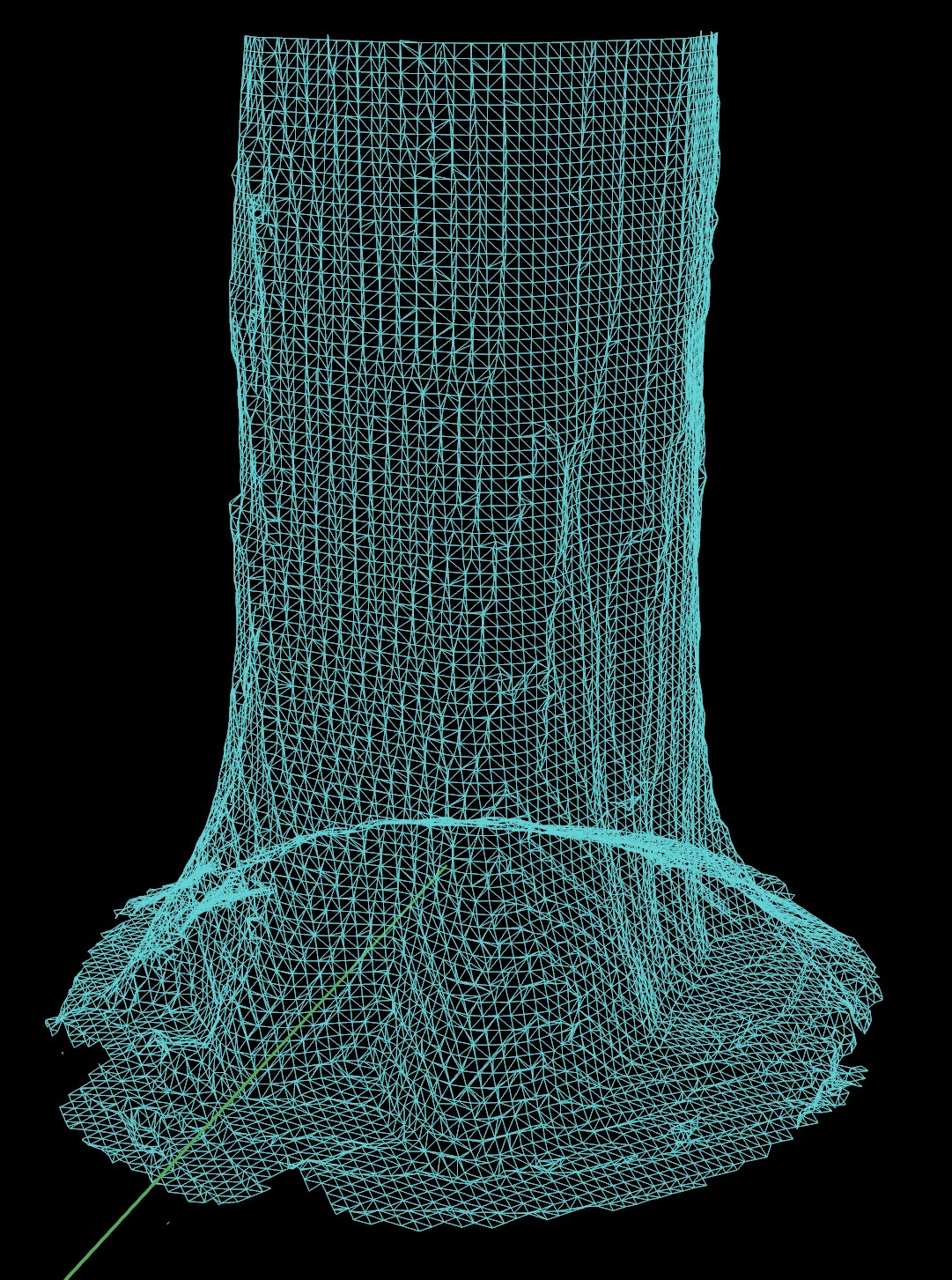 3D LiDAR model of a tree made with LOFOR App. very good accuracy and easy to do
