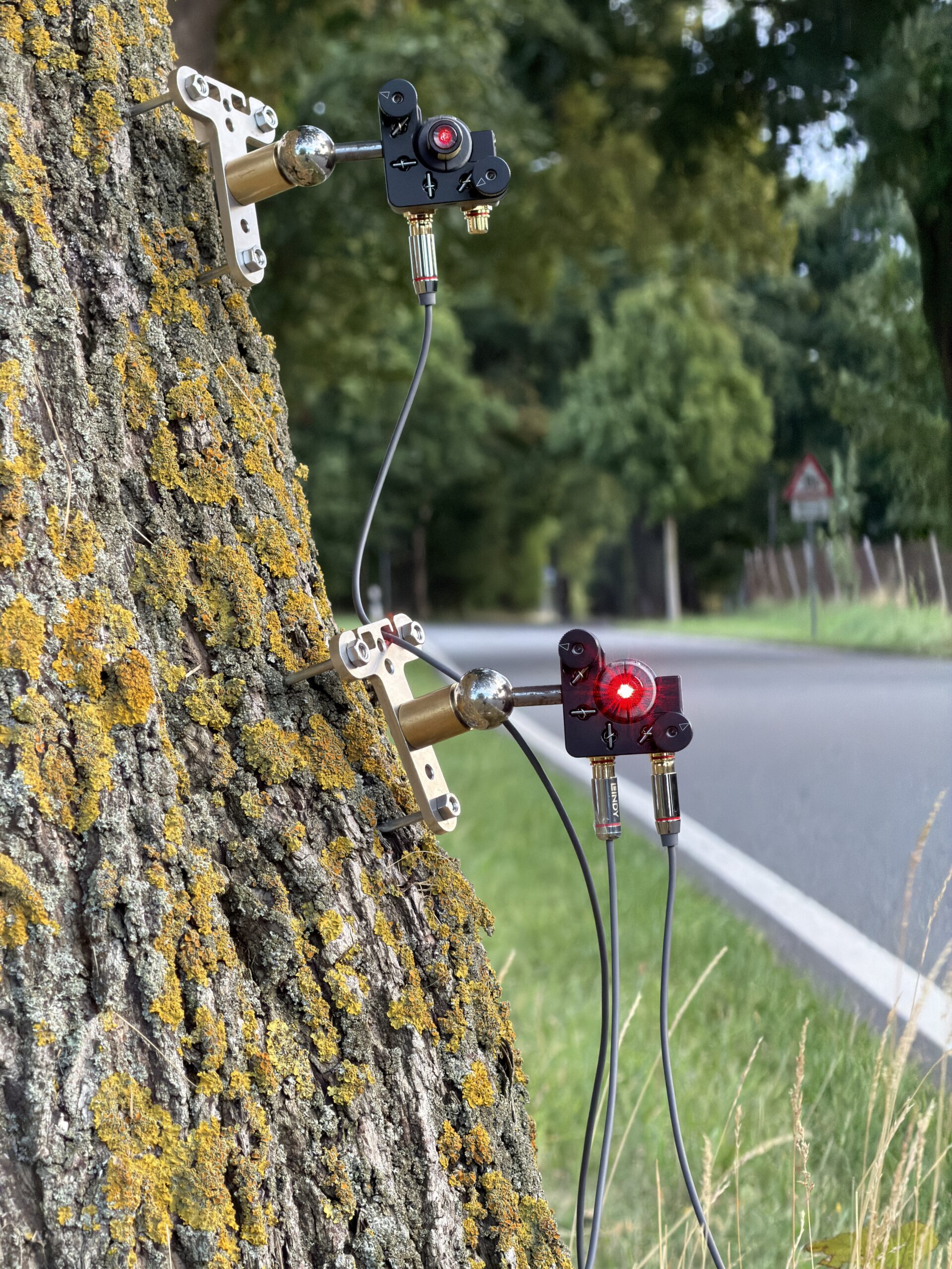 LOFOR laser installed on a tree