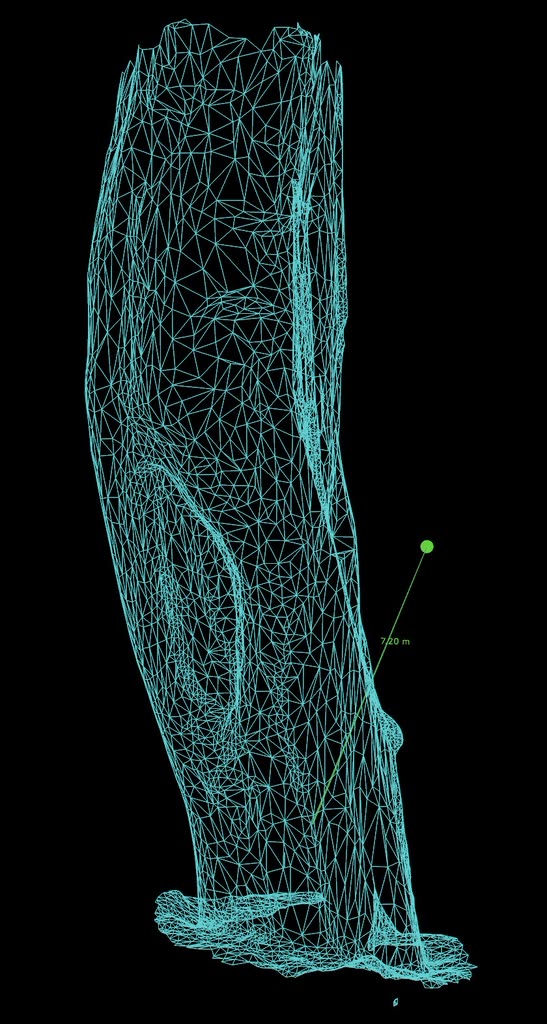 Screenshot der LOFOR® App mit LiDAR-Scan eines Baumstamms als 3D-Modell