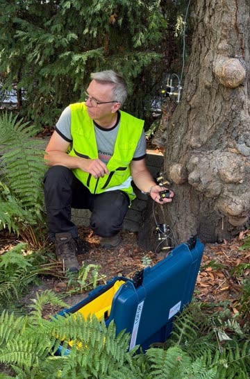 Lothar Goecke bei einer Messung mit dem LOFOR® Laser-Deflektometer am Baum