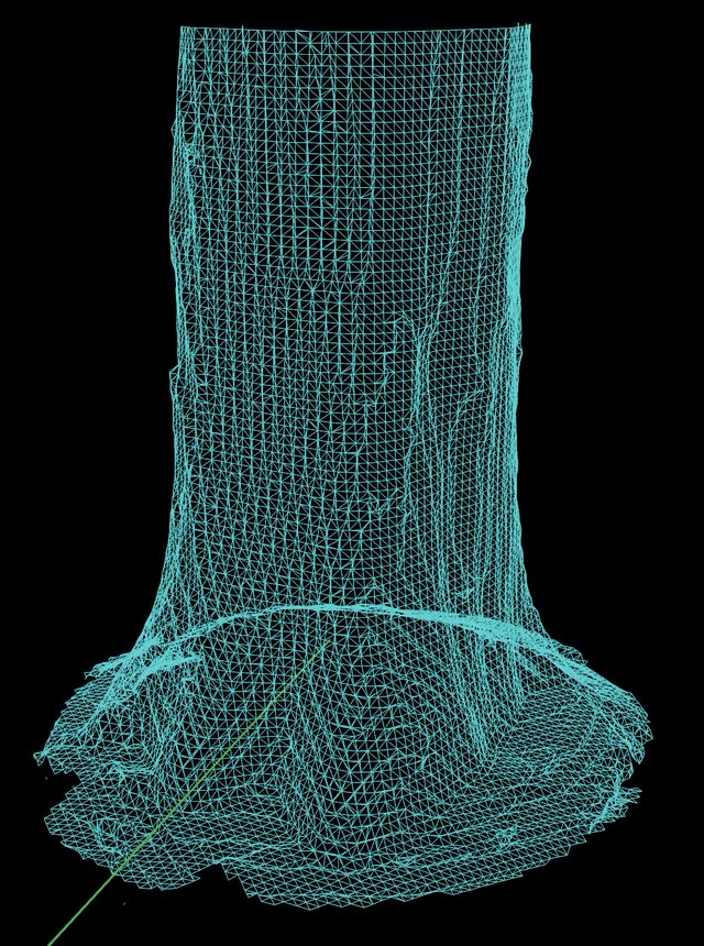 3D-LiDAR-Modell eines Baumstamms, erstellt mit der LOFOR® App